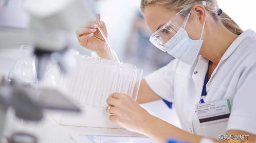 眉山试管代生代怀全流程揭秘：从胚胎培养到成功分娩的真实经历